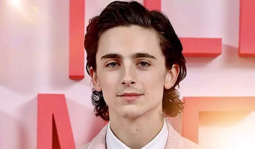 Chalamet's Wonka - Timothée Chalamet's Cinematic Journey