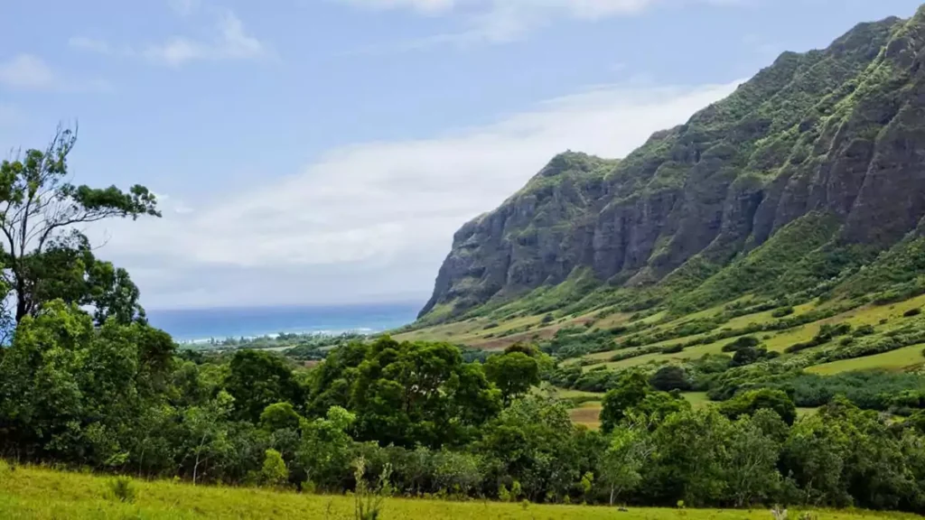 Mark Zuckerberg Hawaii Underground Bunker Plans Breakdown!