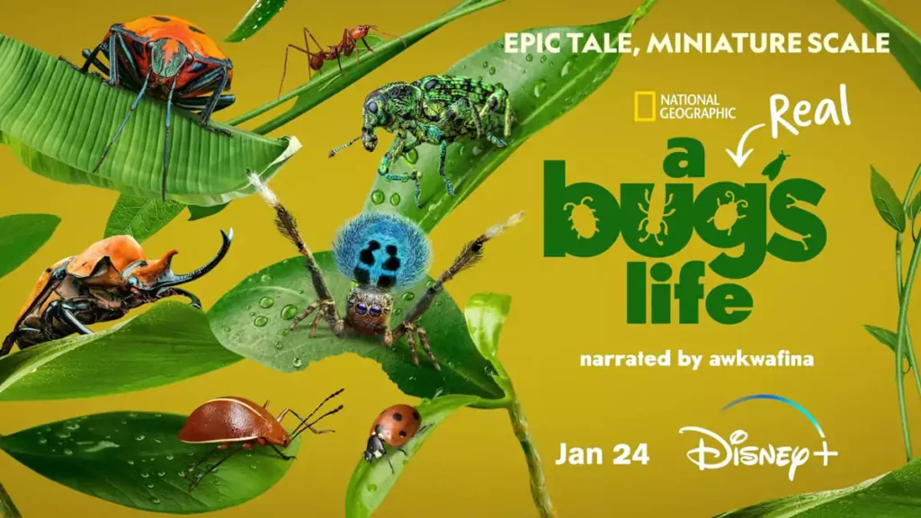 Disney+ Welcomes A Real Bug’s Life Insects as Giants Explained