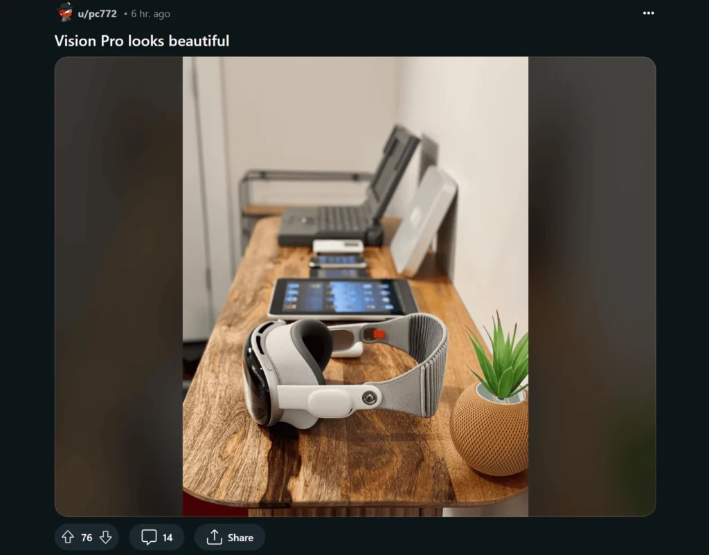 Apple Vision Pro's Public Opinions and Reviews on Reddit